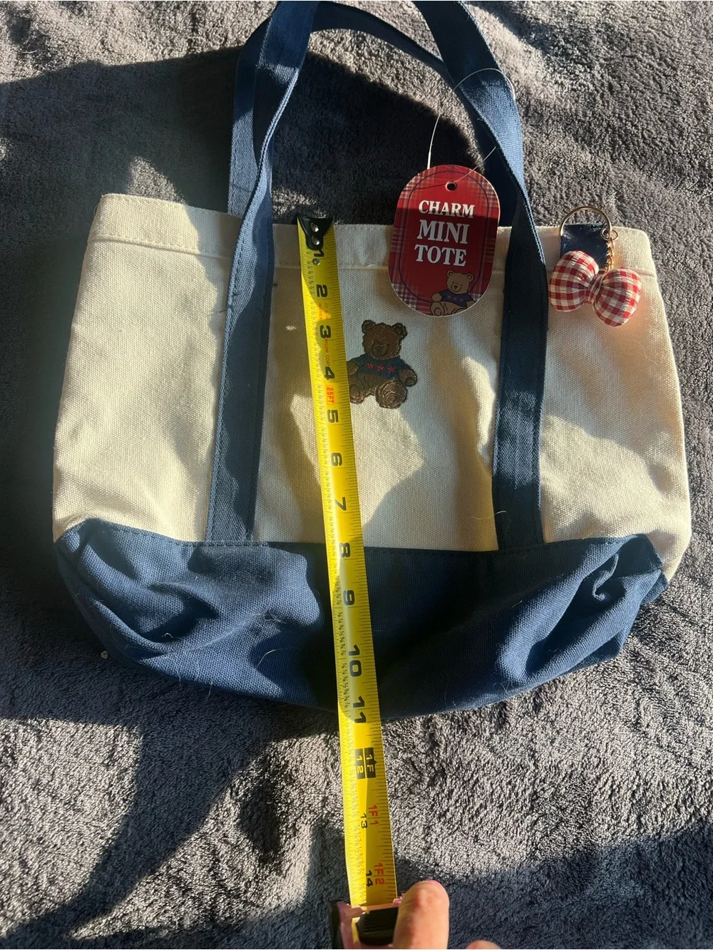 Charm Mini Tote Canvas Bag in Cream and Navy
